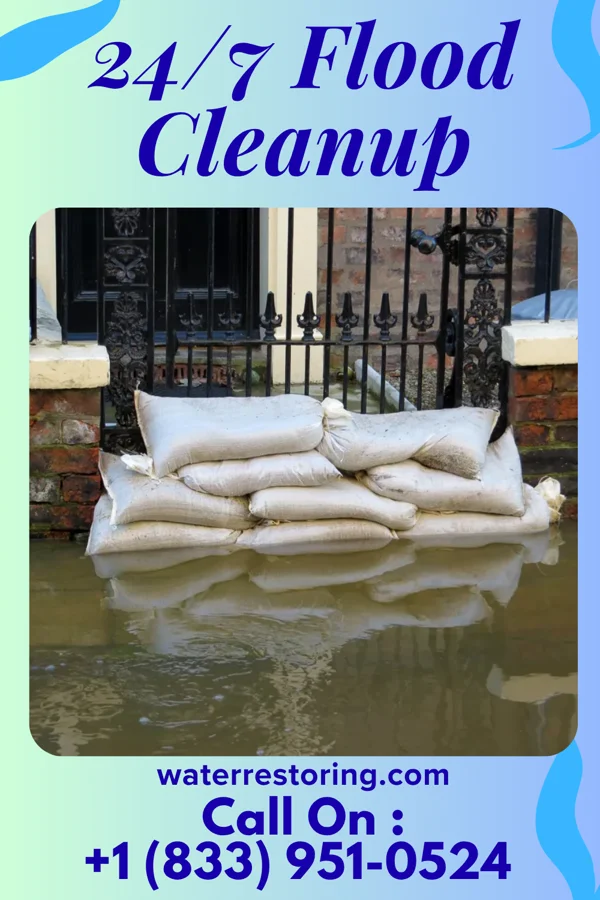 24/7 Flood Cleanup in Lineville, AL